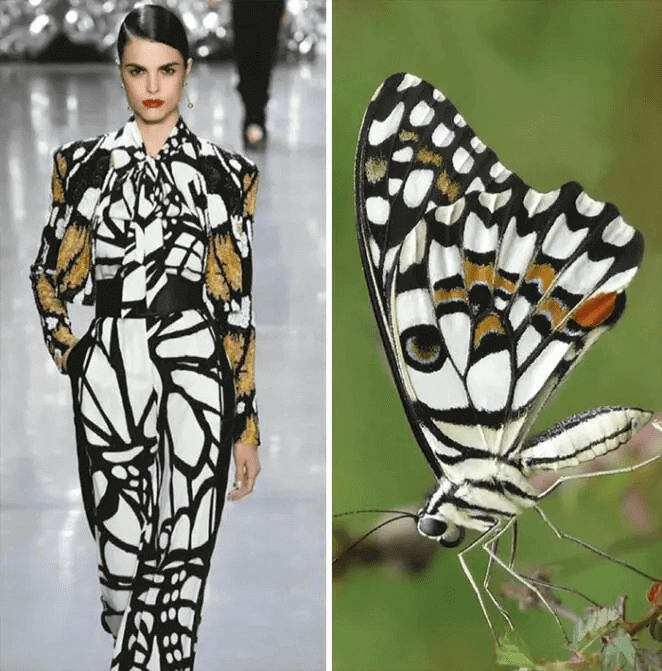 الهام از طبیعت در طراحی لباس – بخش دوم
