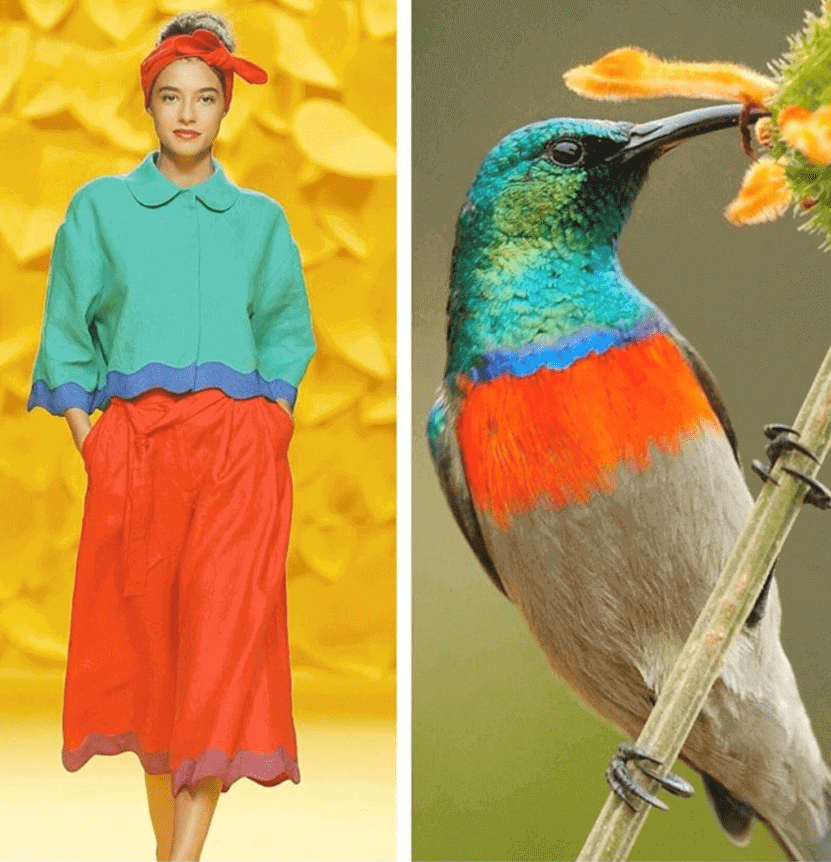 الهام از طبیعت در طراحی لباس - بخش اول